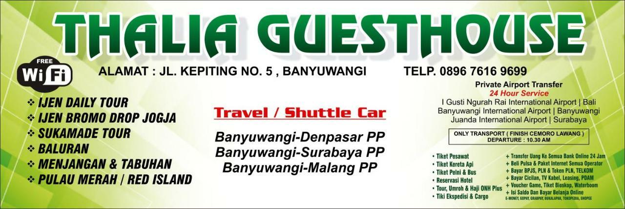 Thalia Guesthouse Ijen - Bromo & Sukamade Tour Banyuwangi  Exterior photo